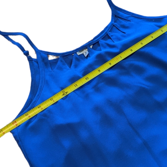 Naked Zebra Tank - Picture 3 of 11